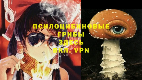 стаф Алексин