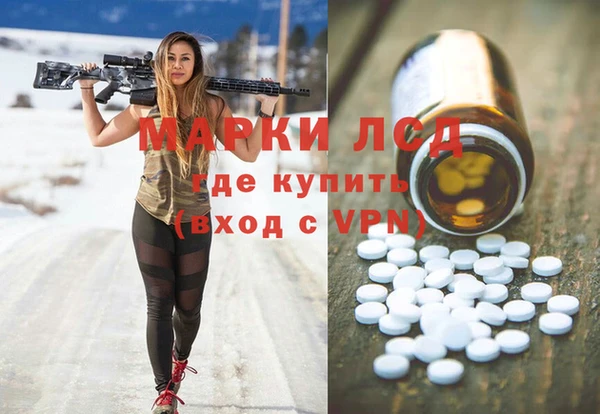 стаф Алексин