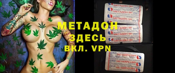 стаф Алексин