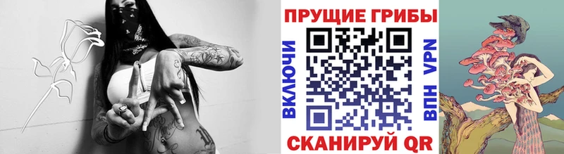 Галлюциногенные грибы GOLDEN TEACHER Багратионовск