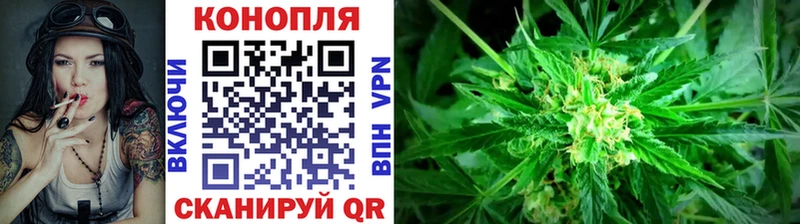 Канабис SATIVA & INDICA  МЕГА   Багратионовск 