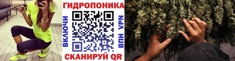 Бошки марихуана Amnesia Багратионовск